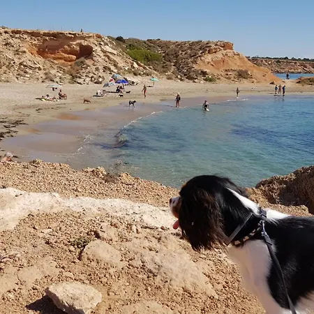 La Zenia, Private Pool, 10min Walk To La Zenia Beach, For 6 People Feriehus